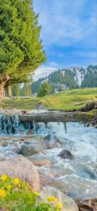 چهار مرحله برای رسیدن به آرامش ذهن 
