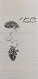 دلت احمقه !!