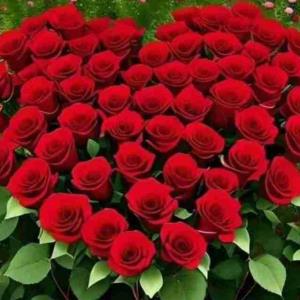 گل برای گل