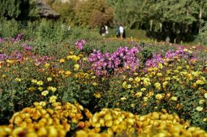 ای دل اندر بند زلفش از پریشانی منال
