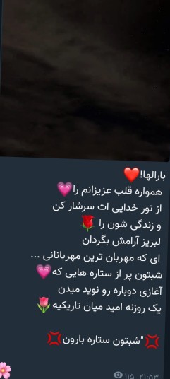 🌹🌹🌹