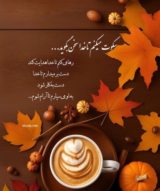 سکوت میکنم تا خدا ..🍁🦋