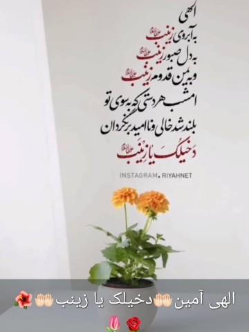 یا زینب🌺