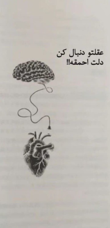 دلت احمقه !!