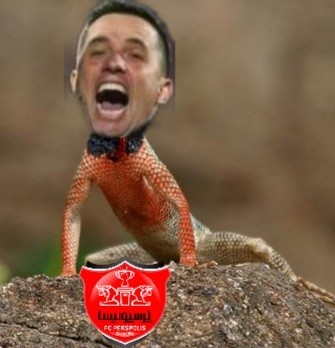 سوسمار قرمز