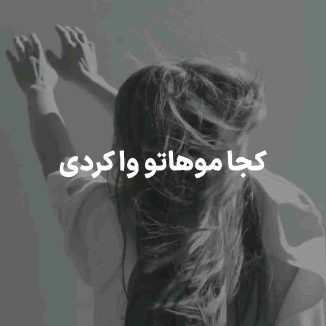 ...هنوزم اون شبای گریه ی مستی رو یادم هست
کجا موهاتو وا کردی کجا بستی رو یادم هست                        شبایی که من این زخما رو میشمردم کجا بودی
تماشا کن تو این دردو به دنیای من آوردی**چاوشی