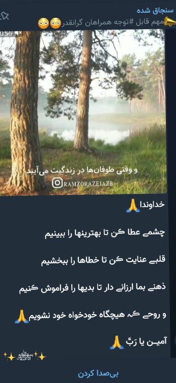 شب دوستان خوبم بخیرر🌹🌹🌹