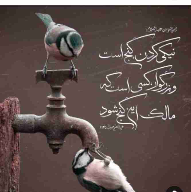 سعید🌟🌟🌟