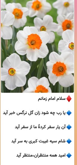 صبحتون امام زمانی اللهم عجل لولیک الفرج یاصاحب الزمان 💚💚