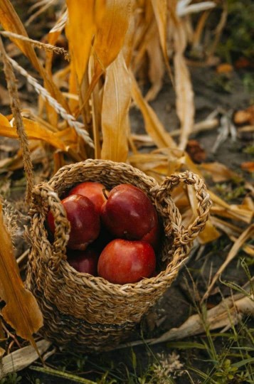 ˼تا خدا هست پریشان نشود خاطره من🦋˹