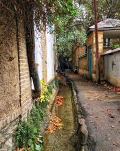 سلام شبتون بخیر 