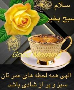 ق🌺🌺🌺