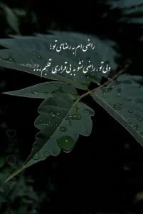 🖤🖤🖤🖤🖤🖤