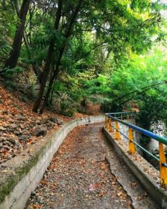 من بخال لبت ای دوست گرفتار شدم