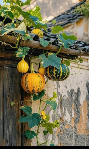 دلخوشی های ساده 🦋⚘🦋⚘🦋⚘