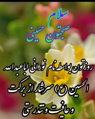 سلام دوستان گلم صبحتون حسینی ✋️💚💚