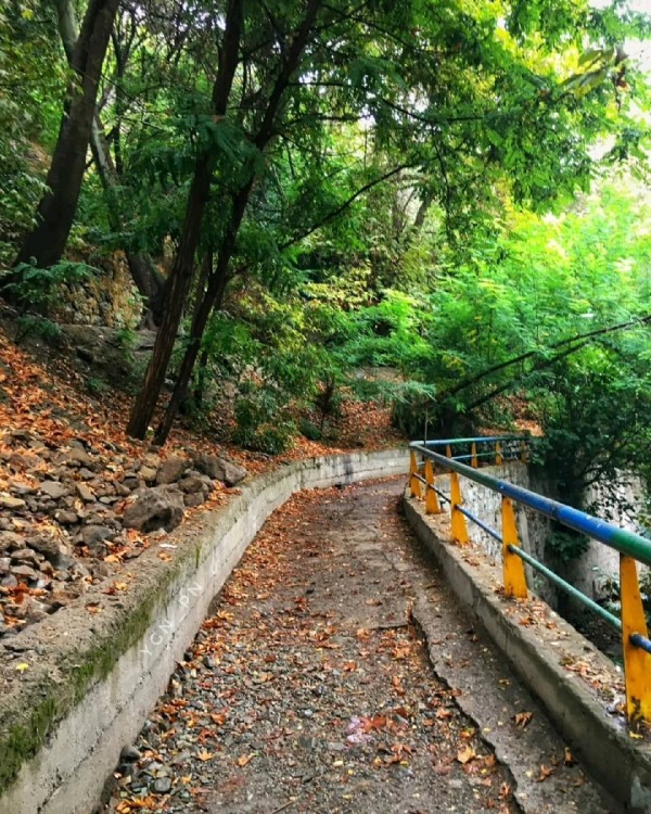 من بخال لبت ای دوست گرفتار شدم