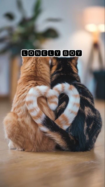 قلب میوووووو