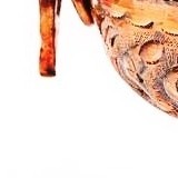 اینم قطعه بعدی پازل