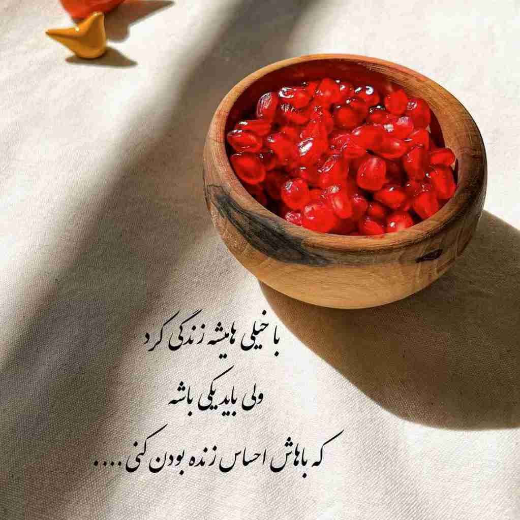 دنیا محل گذره...
از آدما و حرفاشون باید گذشت...!!!

🌹🌹🌹🌹👌👌👌👌