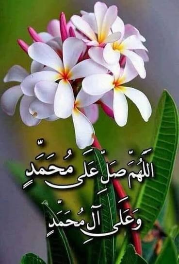 🌸دل با صلوات محرم رازشود💞