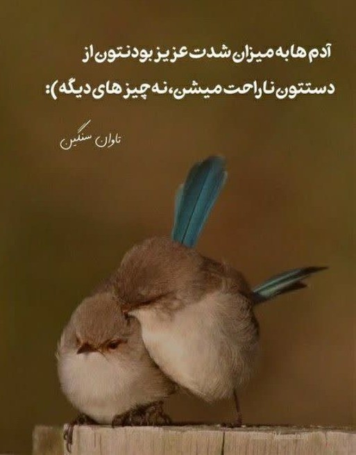 ✍️آدما ب میزان شدت عزیزبودنتون  از دستتون ناراحت میشن 