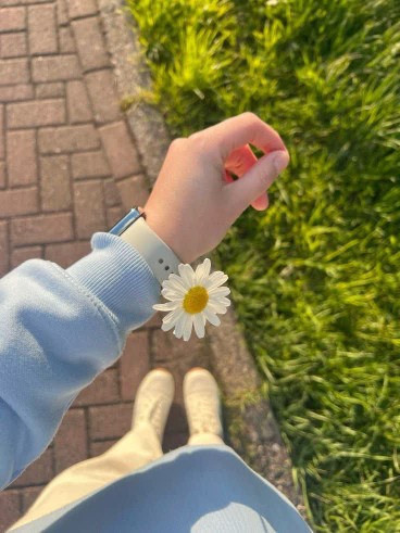   ꞋꞌꞋꞌ𖥸ꞋꞌꞋꞌ
