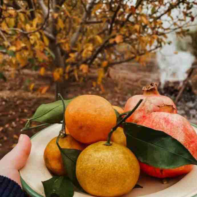امروز قلم موی اراده را بردار 
آغشته به رنگ عشـق کن
رنگ تازه ای بزن بر بوم زندگی 
تا جان بگیرند 
طرح های آرزوی قشنگت.😍

پاییزیتون  پرعشق❤️