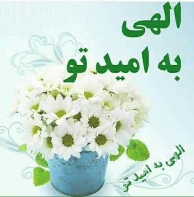 پروردگارا
امروزم را چون هرروز
بانام توآغاز می کنم
صبحی چنین 