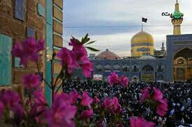 خورشید تابان چه دل من دراین پاییز زیبا سلام آقا