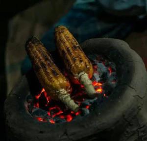 جاتون خالی ،،،،،،،،،شبتون خوش 