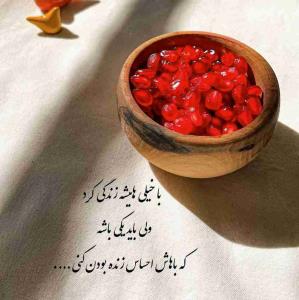دنیا محل گذره...
از آدما و حرفاشون باید گذشت...!!!

🌹🌹🌹🌹👌👌👌👌