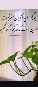 سلام صبح بخیر 