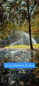 بوقت پیاده روی🩵سلام😊✋

صبحتون آبی تر از دریا 

دلتون 