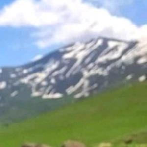 ♦️قانون آرامش🍀میگه…
همونقدر که بیخیال باشی، آرومی