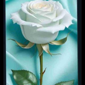 سعید🌟🌟🌟