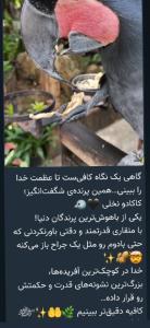 خدایا به بزرگیت و کرمت شکرت💐🌻💐🌻