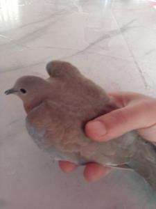 اینم مهمون امروز من😘😍😉