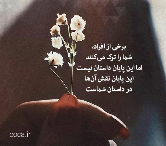 شب زیباتون بخیر دوستان عزیز 🌹🌹🌹