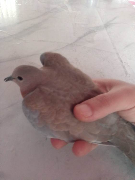 اینم مهمون امروز من😘😍😉