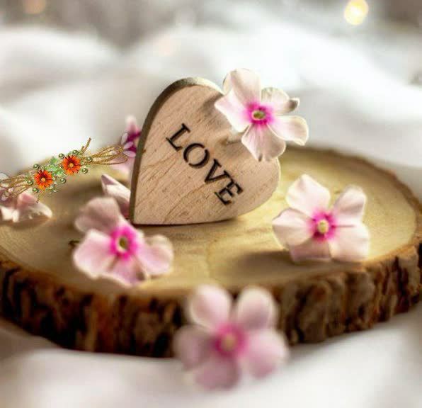 هیچ وقت 
براے فهمیدہ شدن فریاد نزنید 
