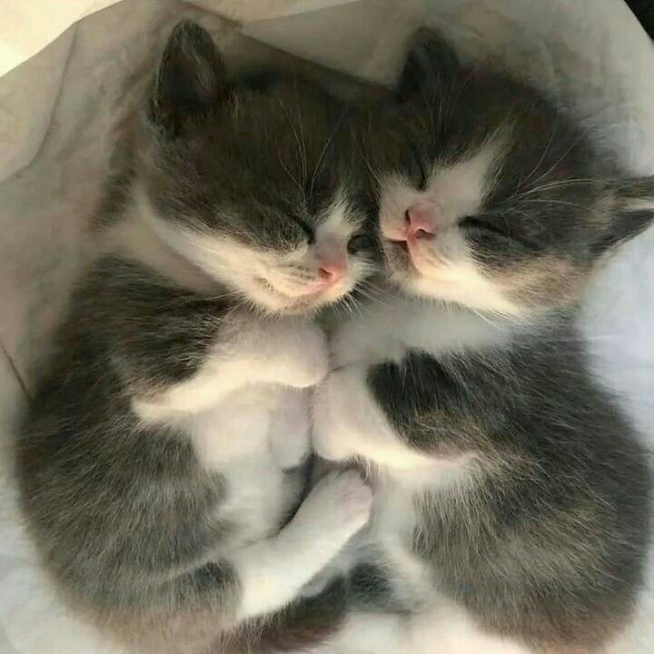 یکی از قشنگ ترین متن هایی که امروز خوندم این بود که می گفت:
