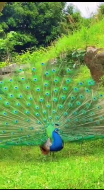 زیبایی ⚘🦋