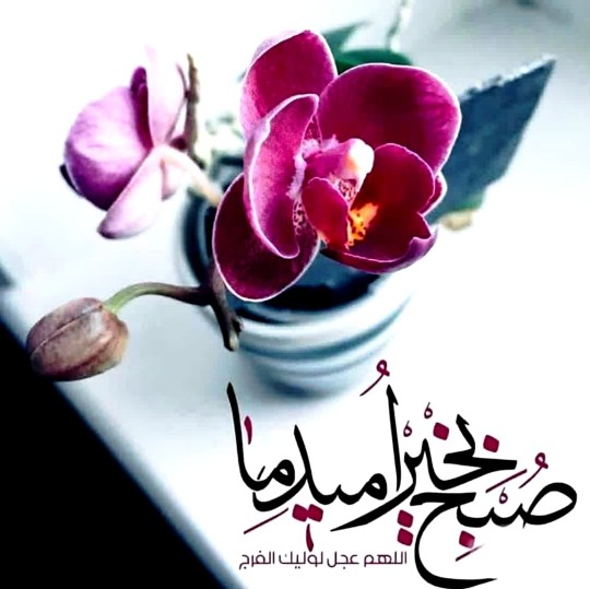 💚♡الّلهُـمَّ‌عَجِّــلْ‌لِوَلِیِّڪَـــ‌الْفَـــرَج ♡
💚