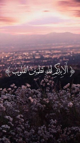 💚أَلا بِذِکرِ اللَّهِ تَطمَئِنُّ القُلُوبُ💚