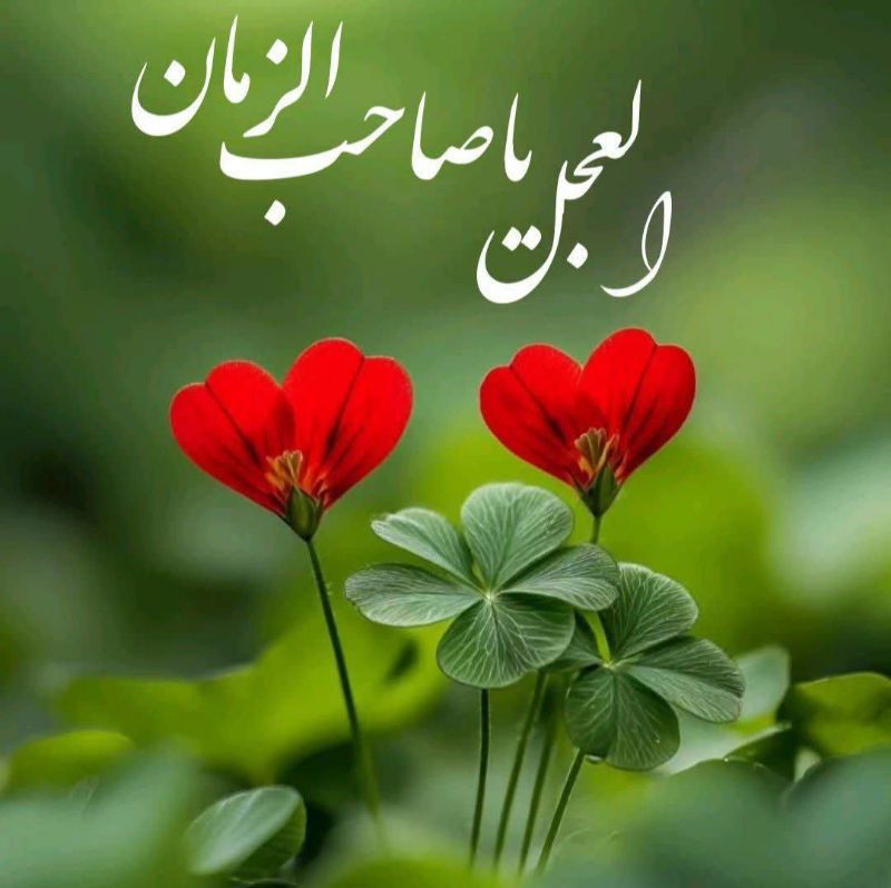 🌺اللهم صل علی محمد و آل محمد و عجل فرجهم 🤲