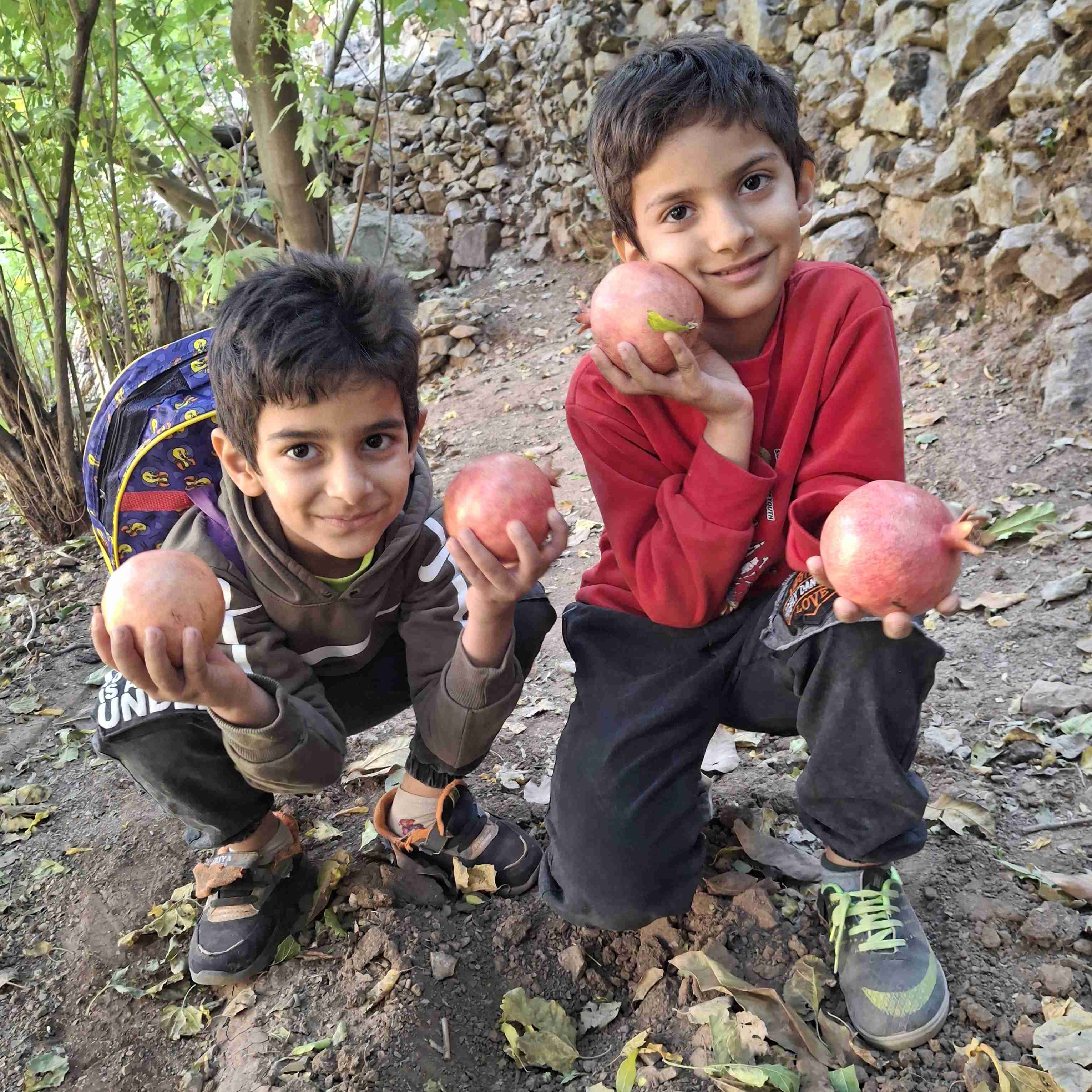 نودشه/نسار۸آبان۱۴۰۴