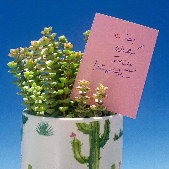 سلام ،روز خوش🌹