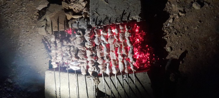 جای دوستان خالی