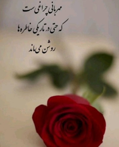 سعید🌟🌟🌟